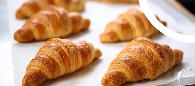 ΚΑΙΝΟΤΟΜΙΑ ΜΕ ΣΚΟΠΟ ΤΗ ΒΕΛΤΙΩΣΗ ΤΗΣ ΒΙΩΣΙΜΟΤΗΤΑΣ