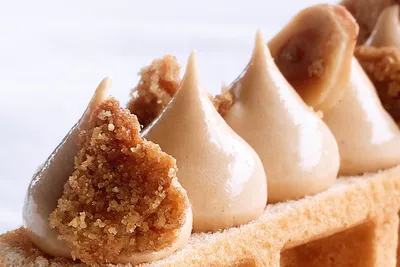 ΜΕΙΓΜΑΤΑ ΖΑΧΑΡΟΠΛΑΣΤΙΚΗΣ