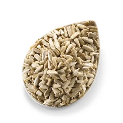 Ηλιόσπορος