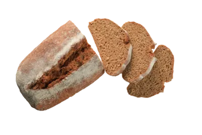 Easy Puravita Happy Gut 