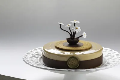 Belcolade Selection Amber Cacao Trace