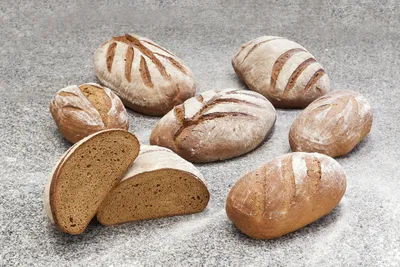 Easy Puravita German Rye Bread