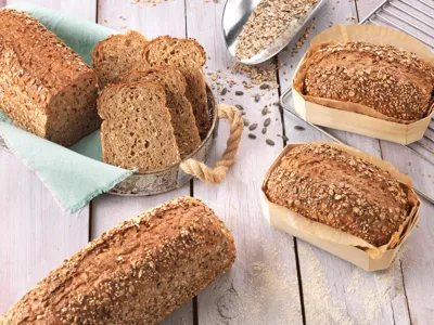 Tegral Puravita Healthy GI