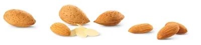 PatisFrance Amandes Rapees