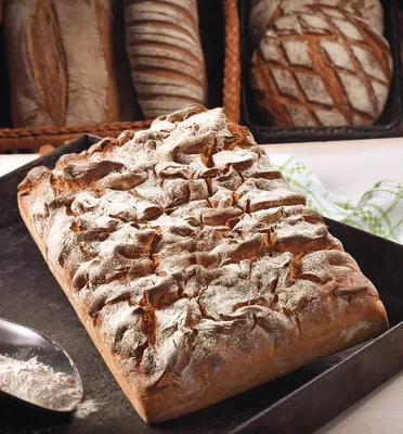 Sapore Maestro Faust