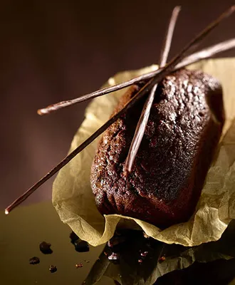 Satin Silk Vegan Cacao